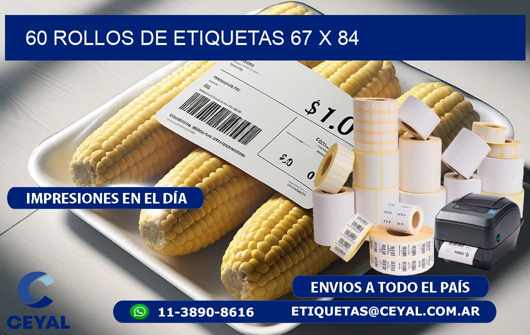 60 ROLLOS DE ETIQUETAS 67 x 84