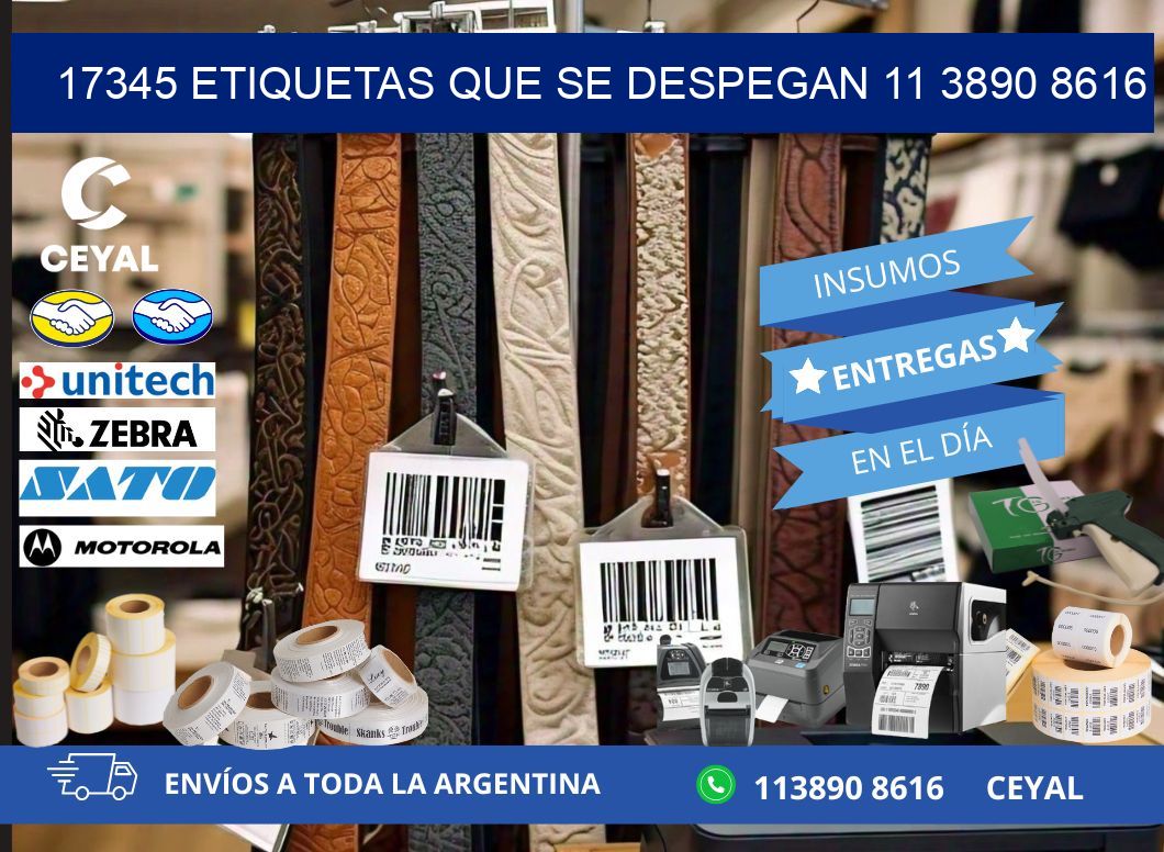 17345 ETIQUETAS QUE SE DESPEGAN 11 3890 8616