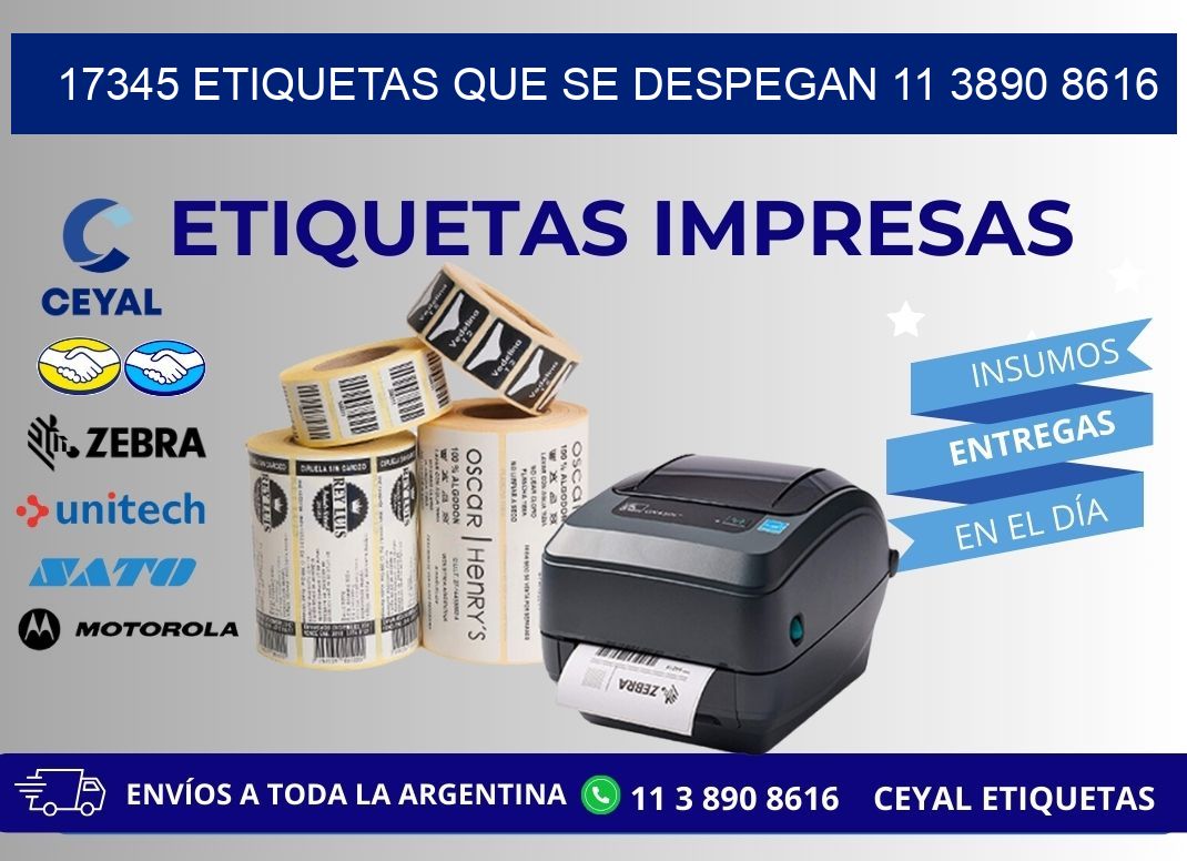 17345 ETIQUETAS QUE SE DESPEGAN 11 3890 8616