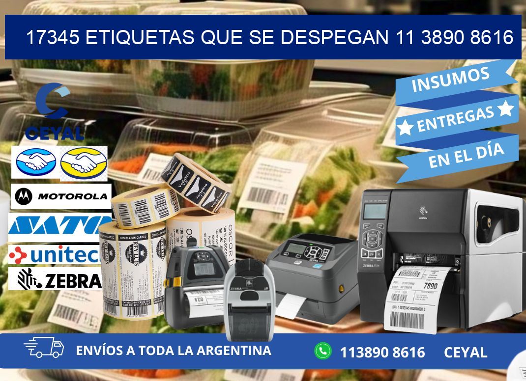 17345 ETIQUETAS QUE SE DESPEGAN 11 3890 8616