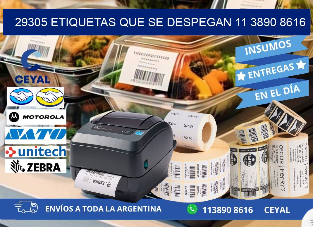 29305 ETIQUETAS QUE SE DESPEGAN 11 3890 8616