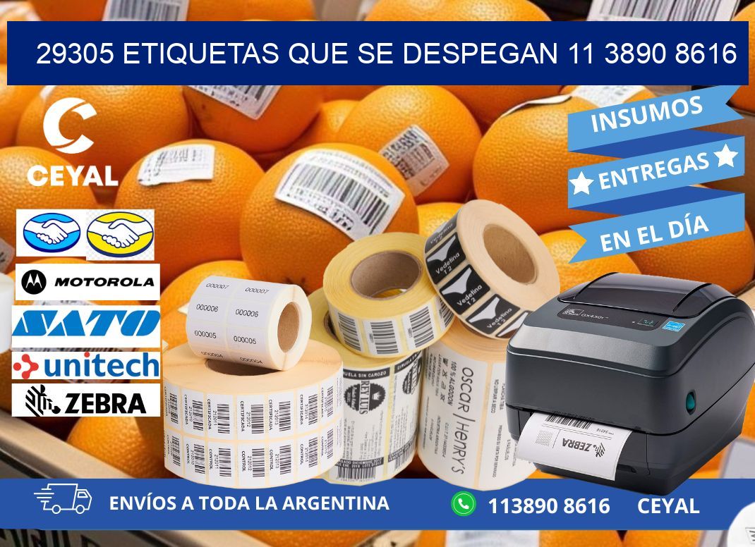 29305 ETIQUETAS QUE SE DESPEGAN 11 3890 8616