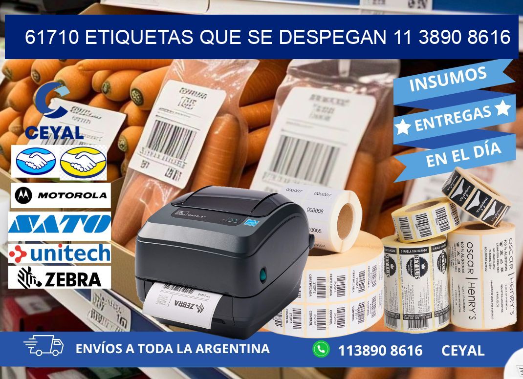 61710 ETIQUETAS QUE SE DESPEGAN 11 3890 8616