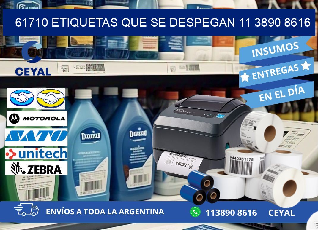 61710 ETIQUETAS QUE SE DESPEGAN 11 3890 8616