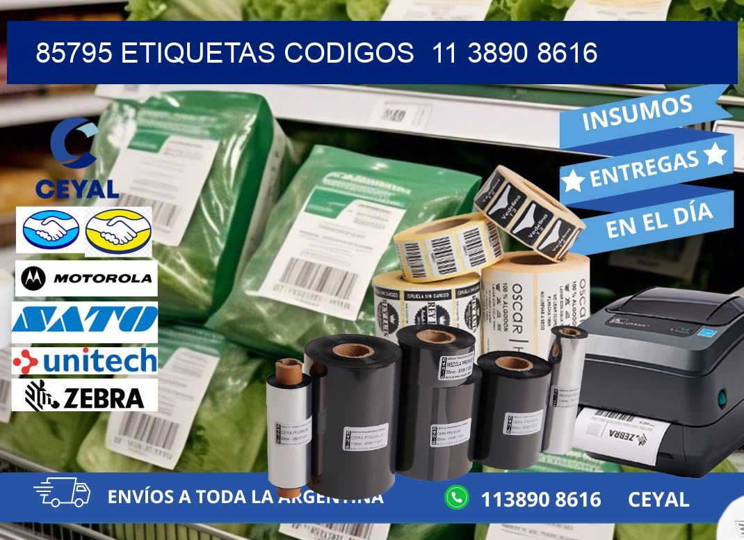 85795 ETIQUETAS CODIGOS  11 3890 8616