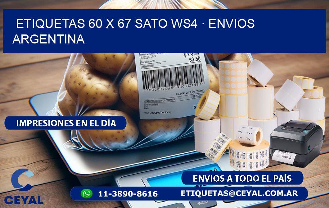 ETIQUETAS 60 x 67 SATO WS4 · ENVIOS ARGENTINA