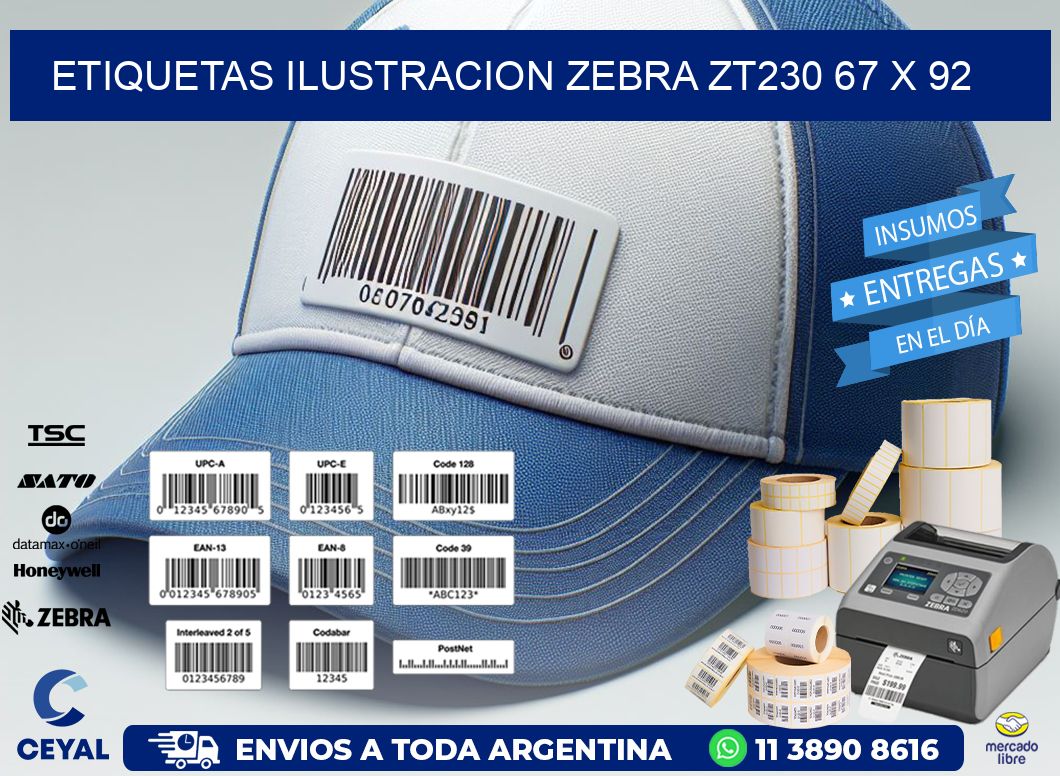 ETIQUETAS ILUSTRACION ZEBRA ZT230 67 x 92