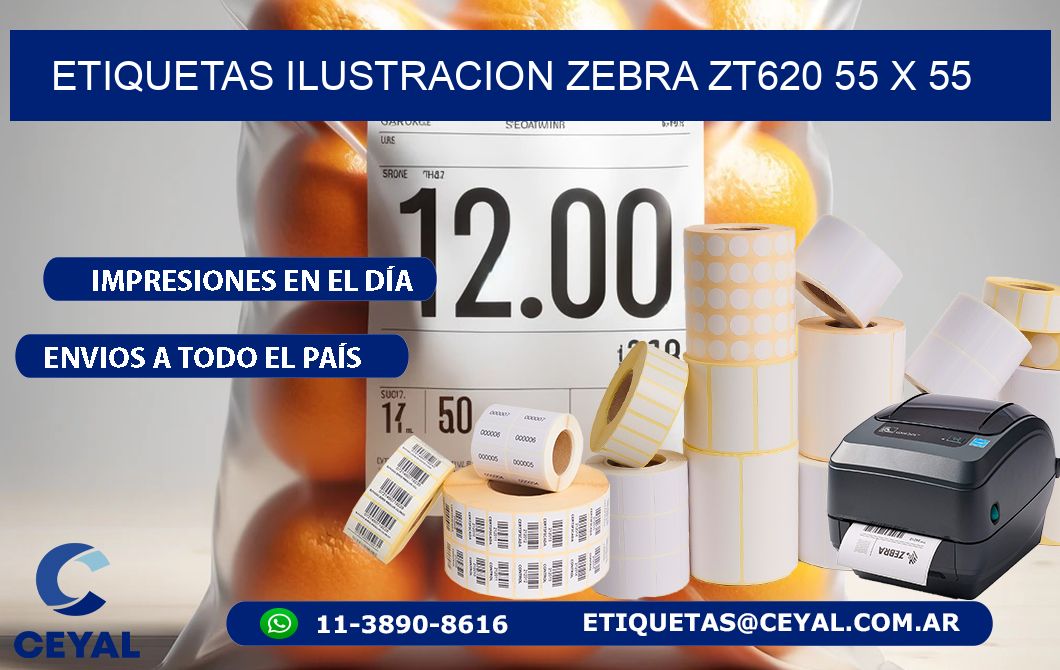 ETIQUETAS ILUSTRACION ZEBRA ZT620 55 x 55