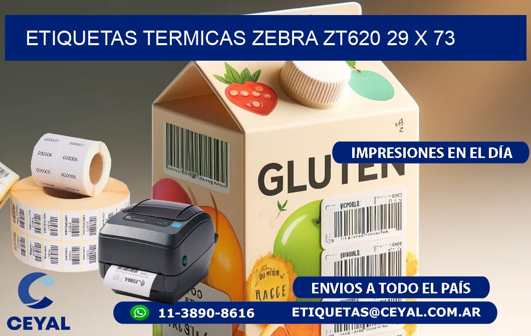 ETIQUETAS TERMICAS ZEBRA ZT620 29 x 73
