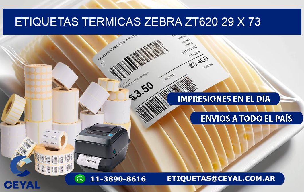 ETIQUETAS TERMICAS ZEBRA ZT620 29 x 73