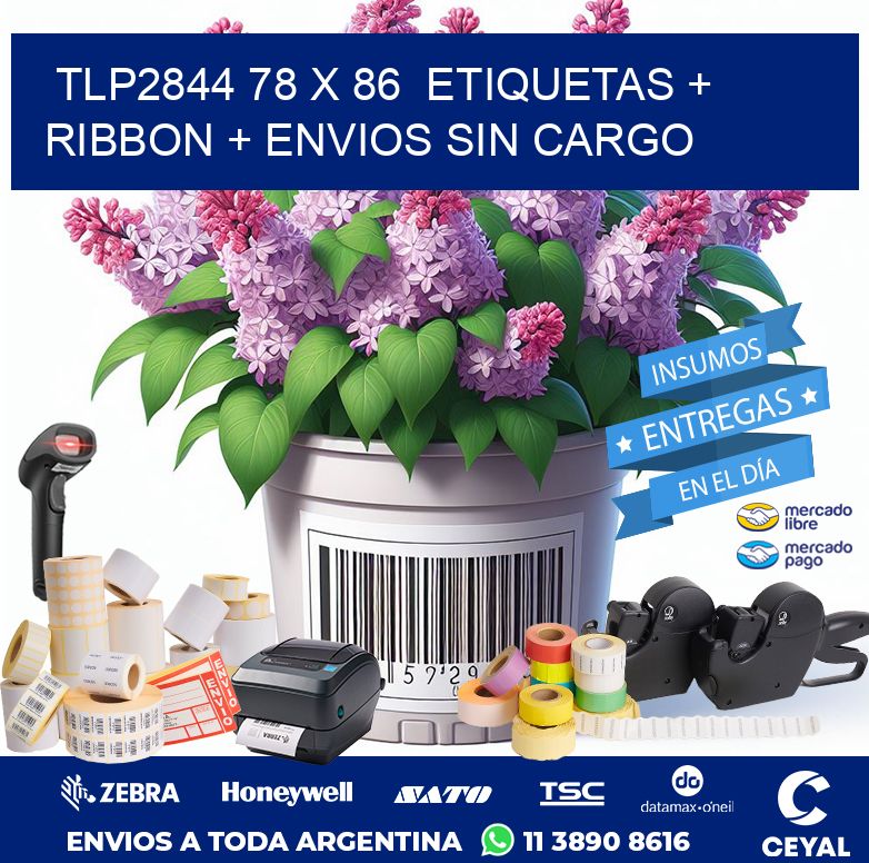 TLP2844 78 x 86  etiquetas + ribbon + envios sin cargo