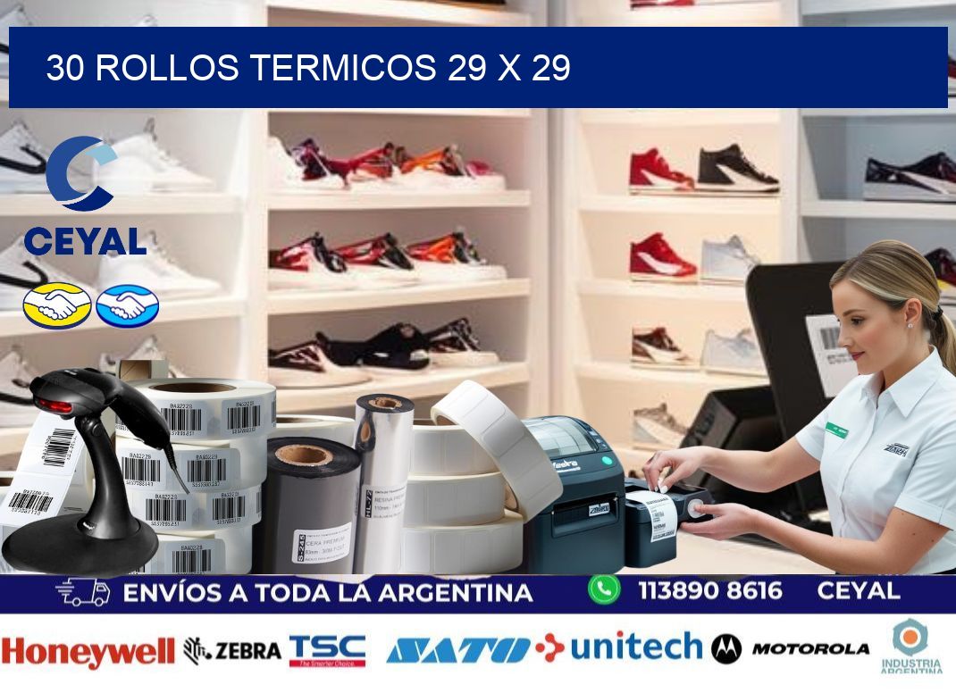 30 ROLLOS TERMICOS 29 x 29
