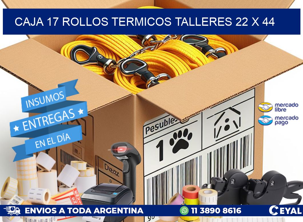 CAJA 17 ROLLOS TERMICOS TALLERES 22 x 44