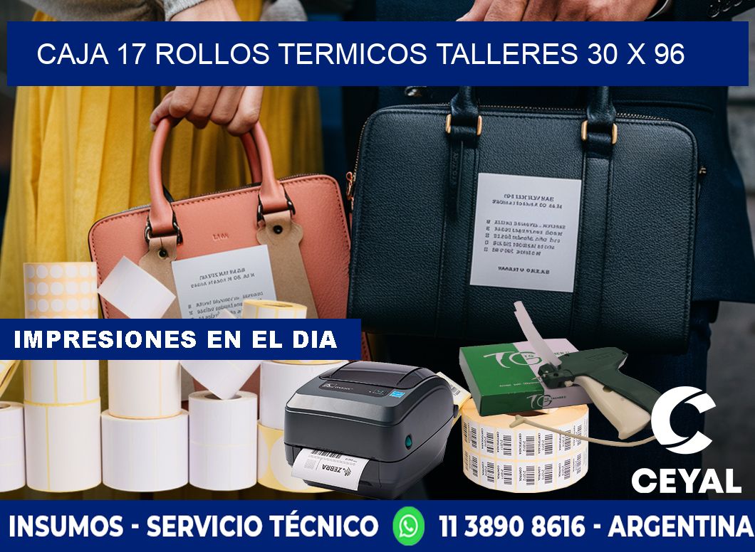 CAJA 17 ROLLOS TERMICOS TALLERES 30 x 96