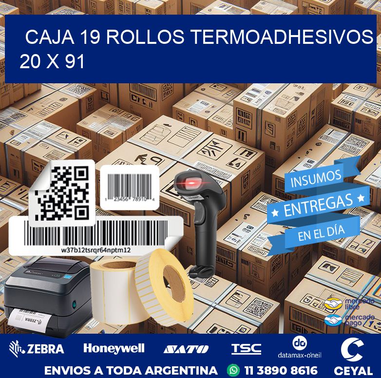 CAJA 19 ROLLOS TERMOADHESIVOS 20 x 91