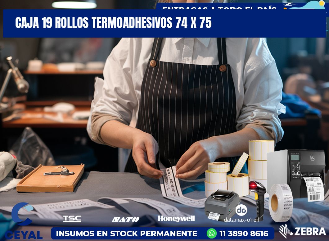 CAJA 19 ROLLOS TERMOADHESIVOS 74 x 75