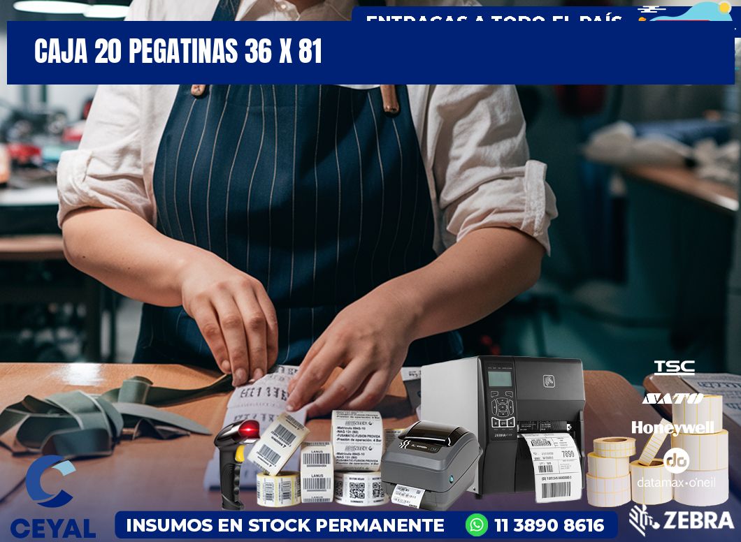 CAJA 20 PEGATINAS 36 x 81