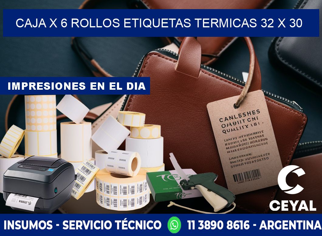 Caja X 6 Rollos Etiquetas termicas 32 x 30