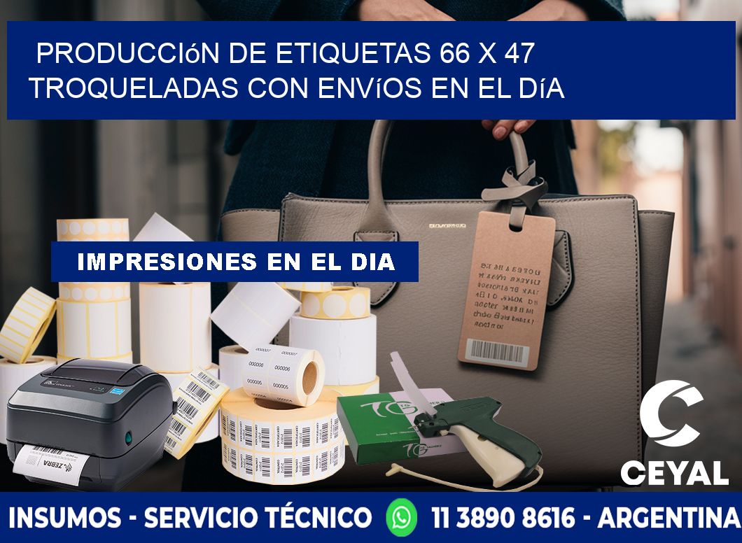 Producción de etiquetas 66 x 47 troqueladas con envíos en el día