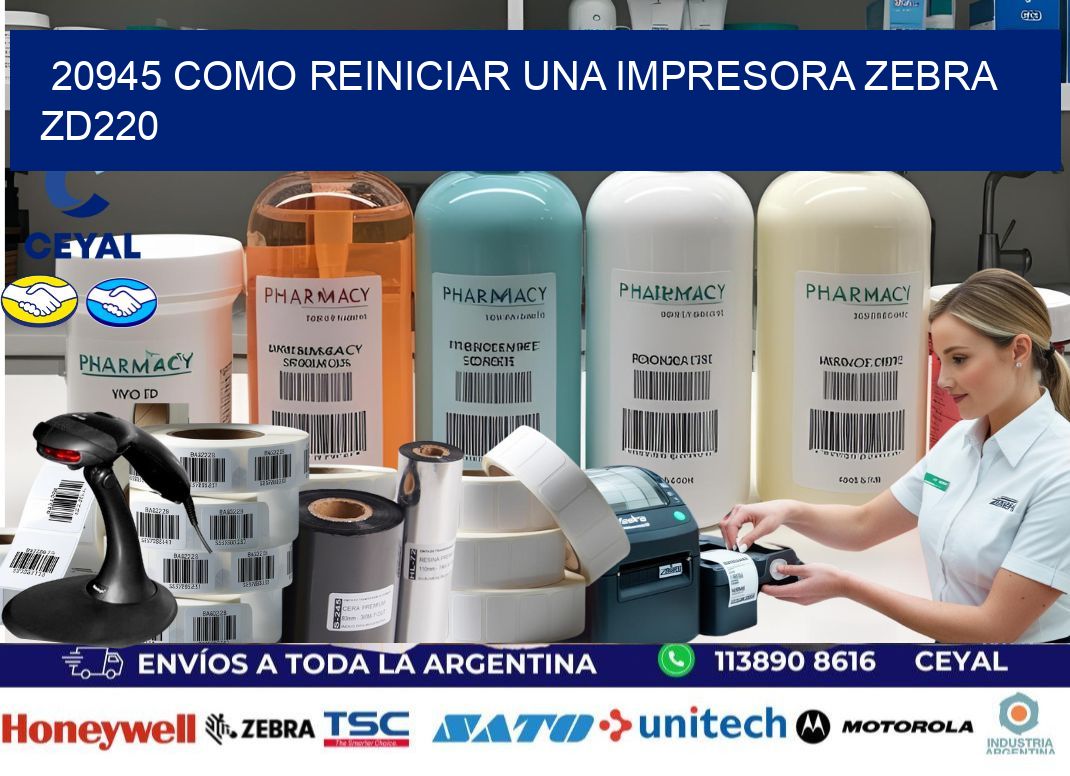 20945 Como reiniciar una impresora Zebra  ZD220