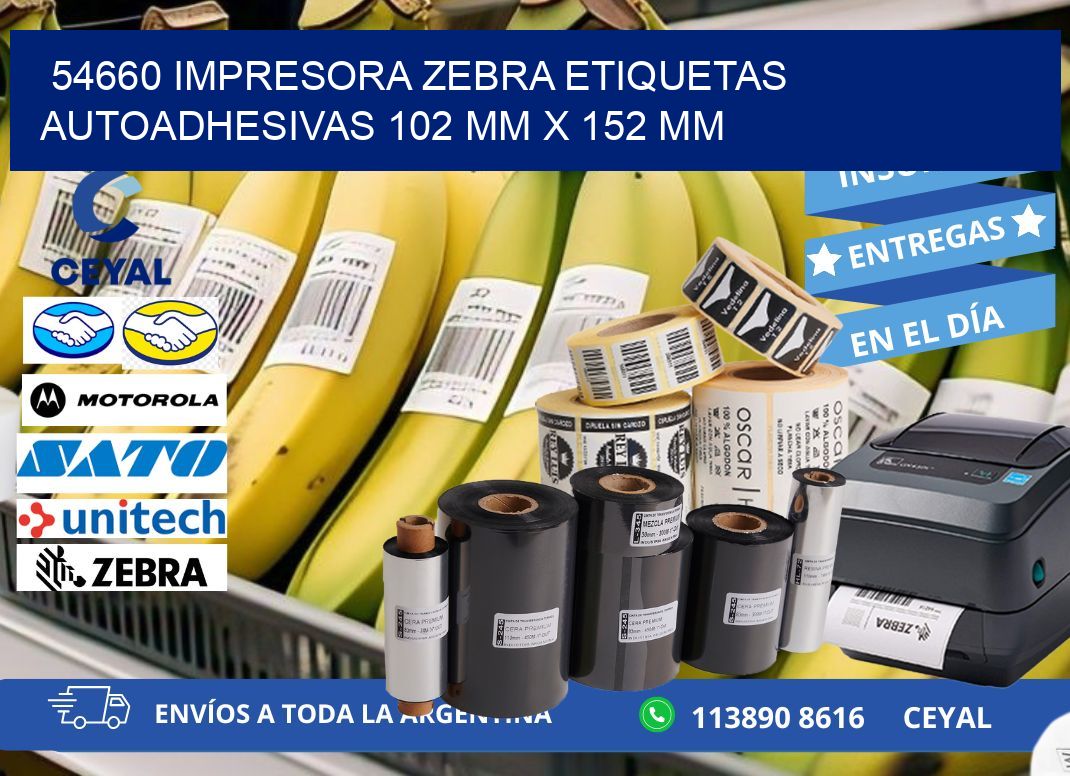 54660 impresora zebra etiquetas autoadhesivas 102 mm x 152 mm