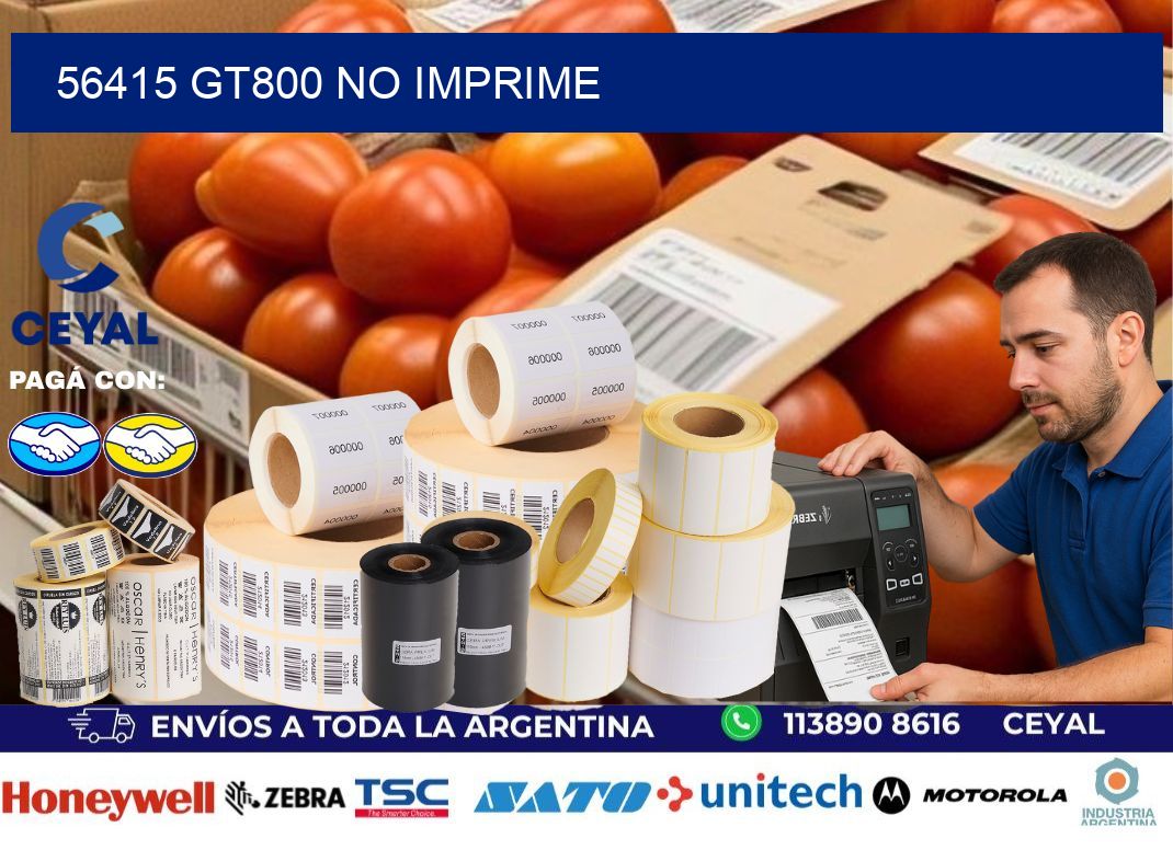 56415 GT800 no imprime
