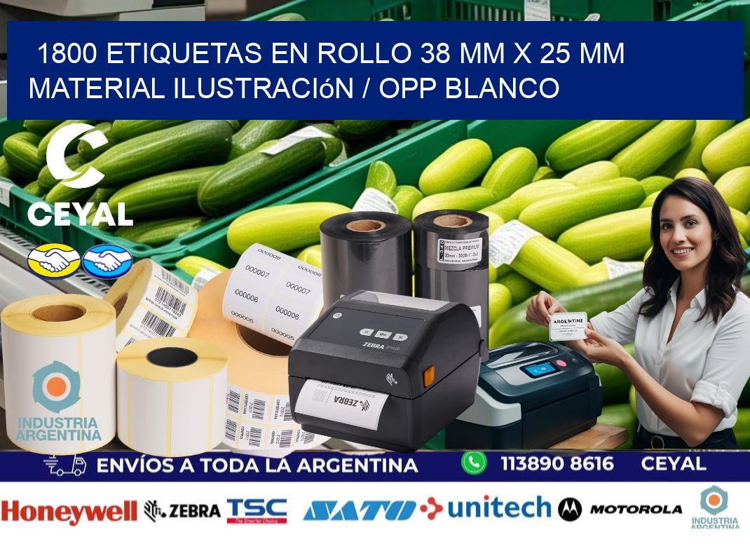 1800 Etiquetas en rollo 38 mm x 25 mm material Ilustración / OPP Blanco