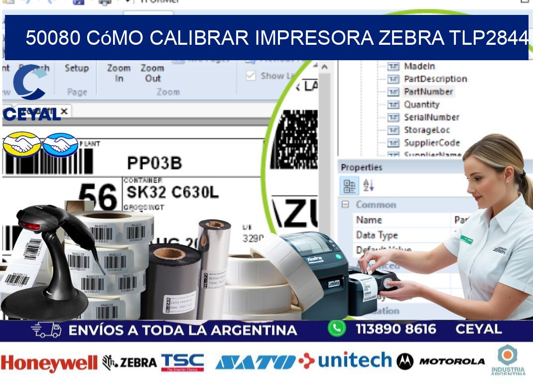 50080 cómo calibrar impresora zebra TLP2844