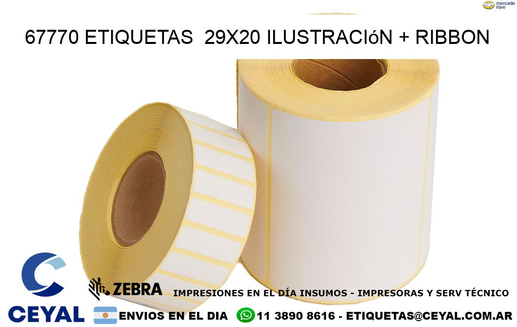 67770 etiquetas  29×20 ilustración + ribbon
