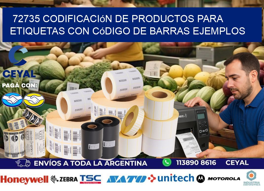 72735 Codificación de productos para etiquetas con código de barras ejemplos