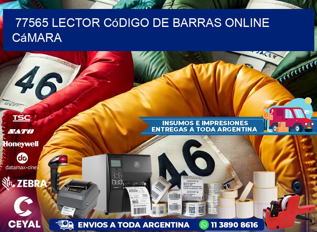 77565 Lector código de barras online cámara