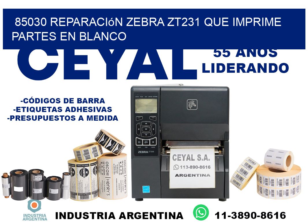 85030 reparación zebra zt231 que imprime partes en blanco