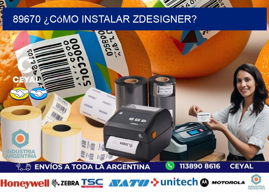 89670 ¿Cómo instalar ZDesigner?