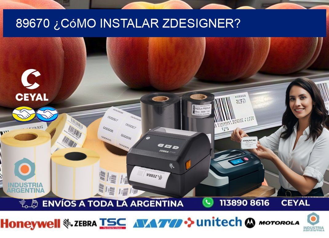 89670 ¿Cómo instalar ZDesigner?