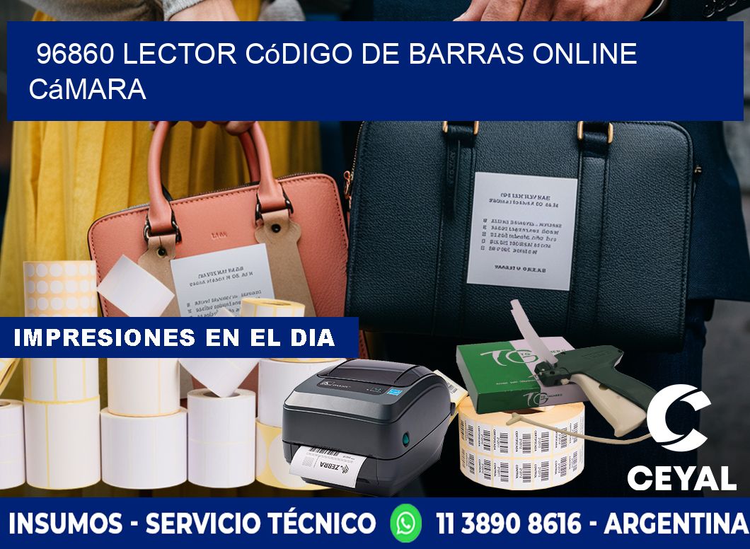 96860 Lector código de barras online cámara