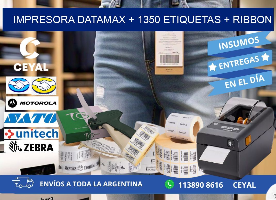 impresora DATAMAX + 1350 etiquetas + ribbon
