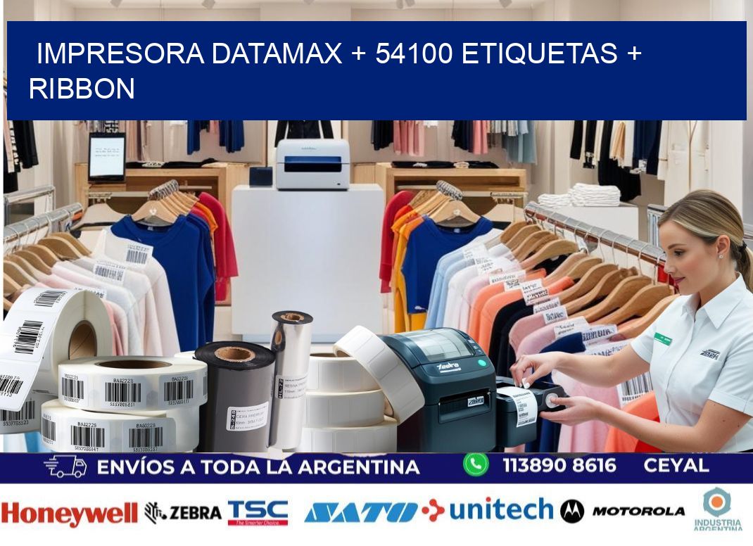 impresora DATAMAX + 54100 etiquetas + ribbon