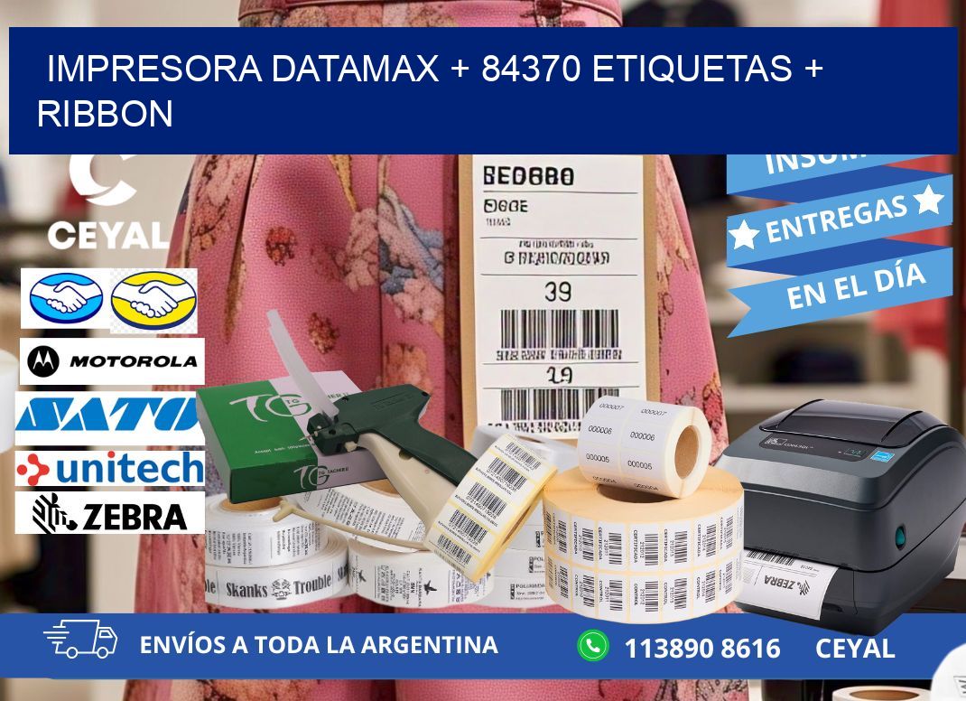 impresora DATAMAX + 84370 etiquetas + ribbon