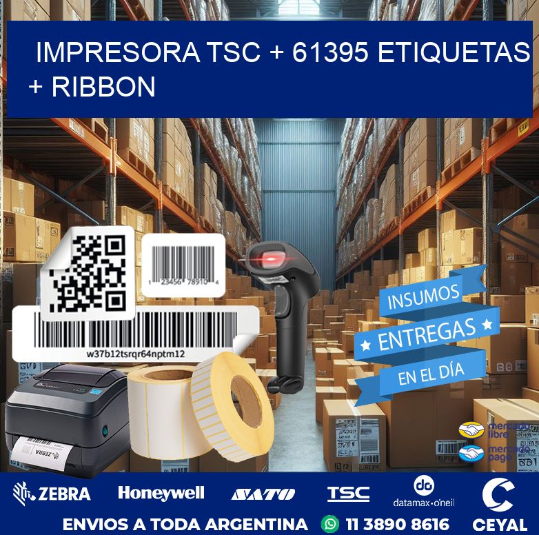 impresora TSC + 61395 etiquetas + ribbon