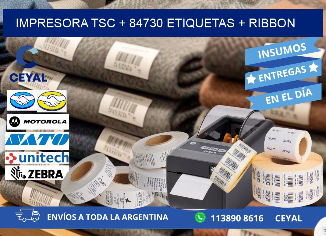 impresora TSC + 84730 etiquetas + ribbon