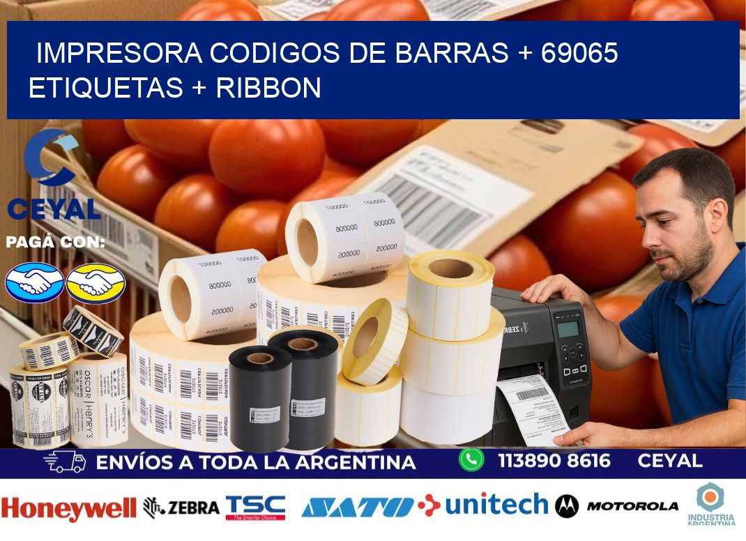 impresora codigos de barras + 69065 etiquetas + ribbon