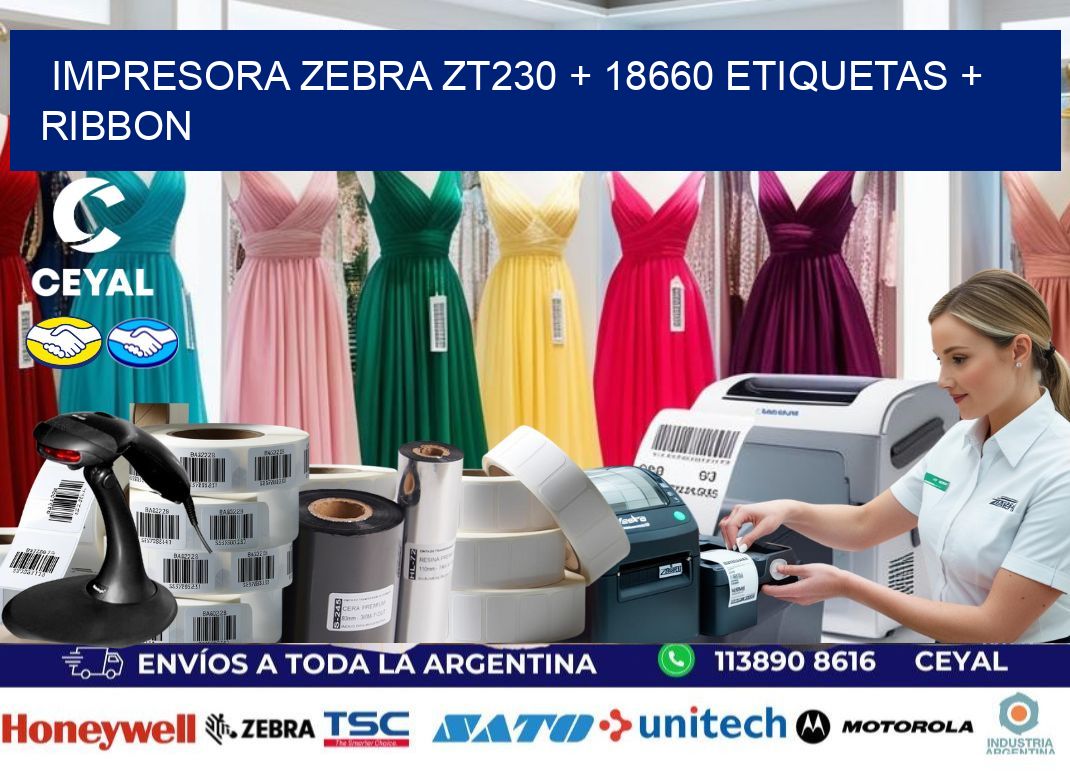 impresora zebra zt230 + 18660 etiquetas + ribbon