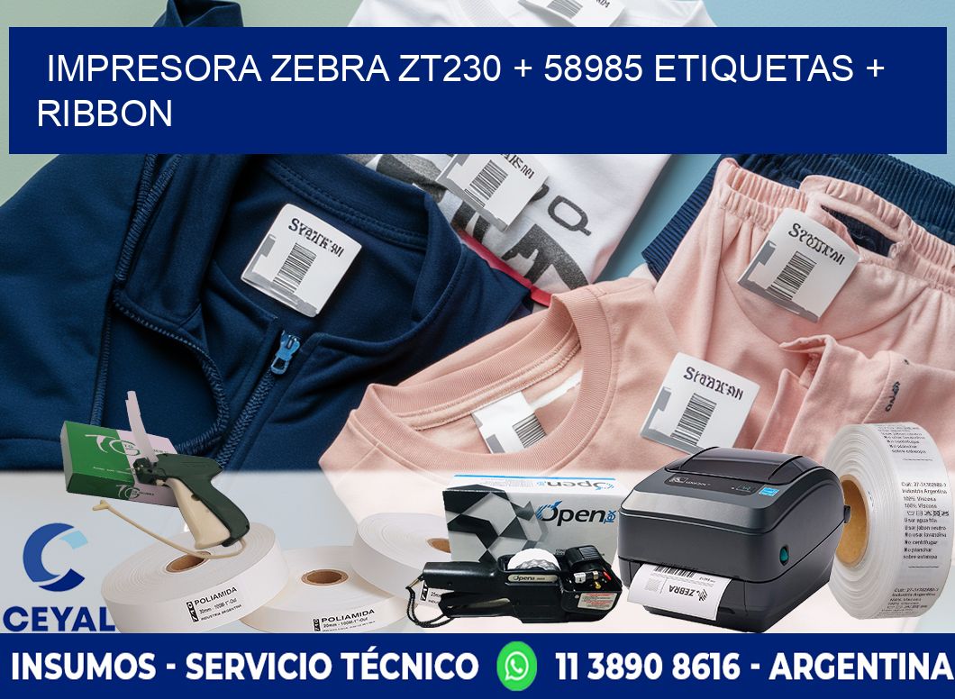 impresora zebra zt230 + 58985 etiquetas + ribbon