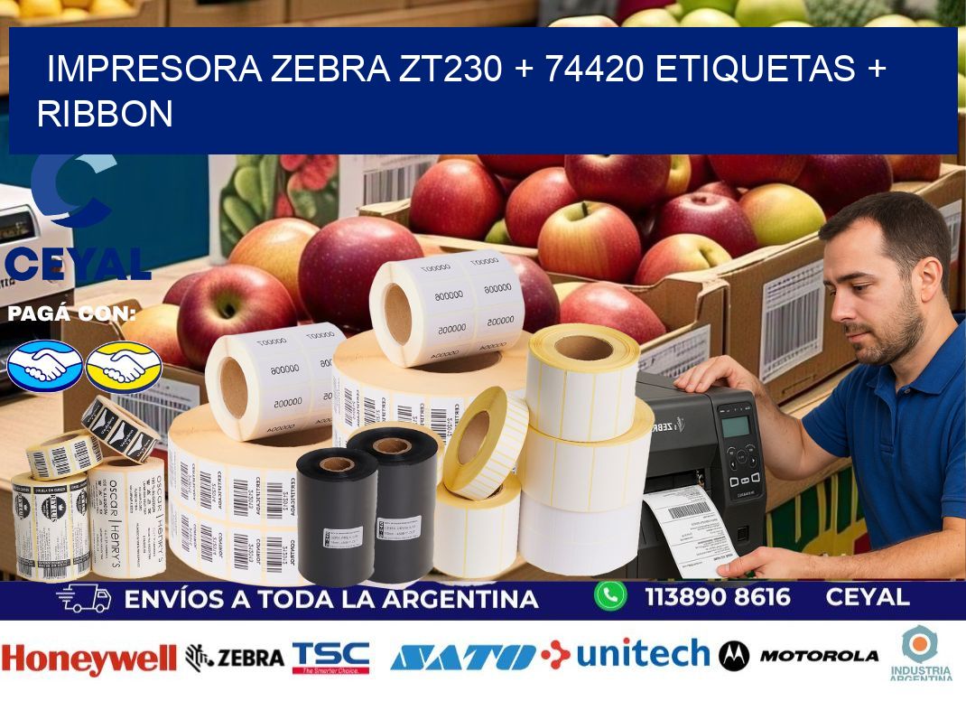 impresora zebra zt230 + 74420 etiquetas + ribbon