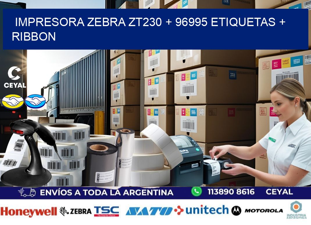 impresora zebra zt230 + 96995 etiquetas + ribbon