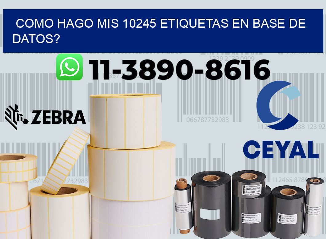 como hago mis 10245 etiquetas en base de datos?