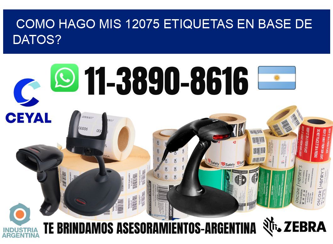 como hago mis 12075 etiquetas en base de datos?