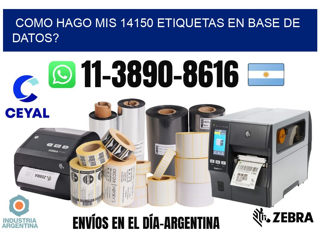 como hago mis 14150 etiquetas en base de datos?
