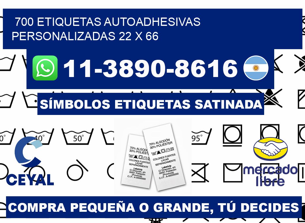 700 Etiquetas autoadhesivas personalizadas 22 x 66