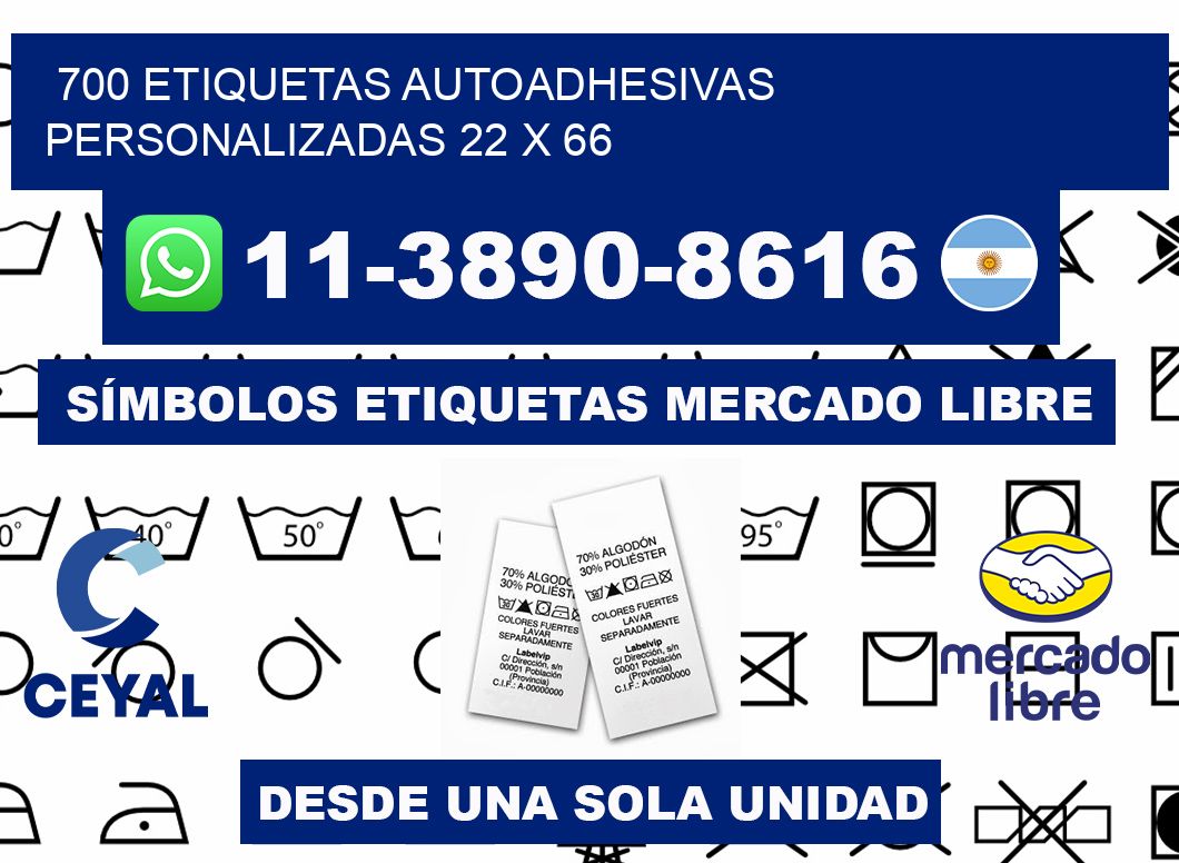 700 Etiquetas autoadhesivas personalizadas 22 x 66